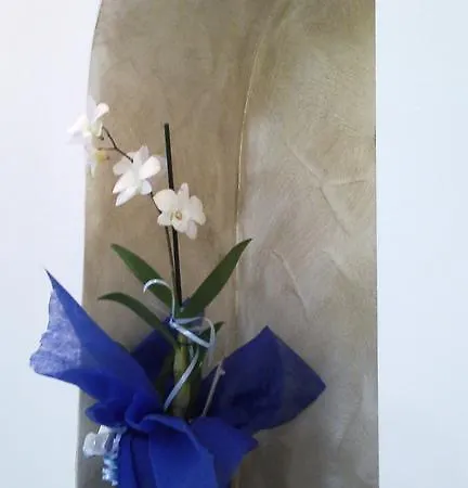 Il Soffio Di Eolo Apartment Lipari (Isola Lipari)