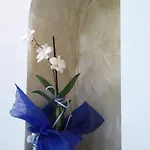 Il Soffio Di Eolo Apartmán Lipari (Isola Lipari)